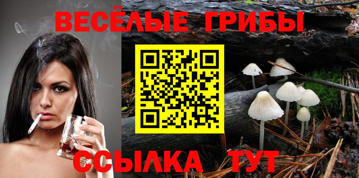 Дмитров  Псилоцибиновые грибы Psilocybine cubensis  где купить наркоту  Вход с VPN 
